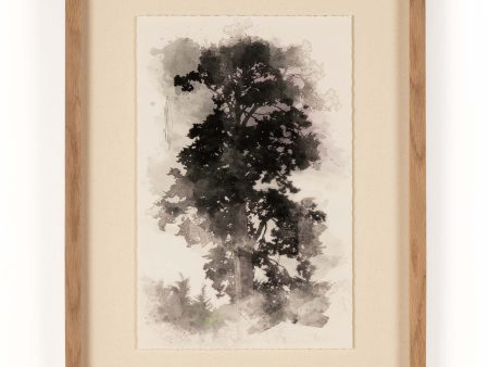 Tree Sketch I By Coup D Esprit Online now