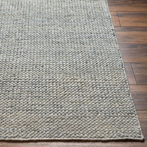 Surya Rug Reika REK-2306, Off White Gray Online now