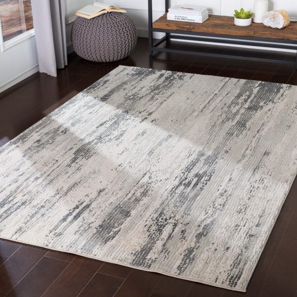 Surya Rug Aisha AIS-2304, Gray Off White Cheap