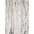 Surya Rug Aisha AIS-2304, Gray Off White Cheap