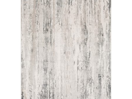 Surya Rug Aisha AIS-2304, Gray Off White Cheap